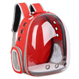 Transparent Capsule Pet Carrier Backpack – Foldable Travel Design