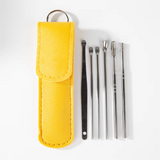 Stainless Steel Earwax Removal Tool Set – 6-Piece Cleaning Kit with Case