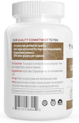 Lions Mane Mushroom Cognition