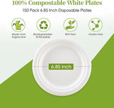 Compostable Sugarcane Bagasse Dessert Plates