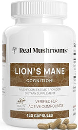 Lions Mane Mushroom Cognition