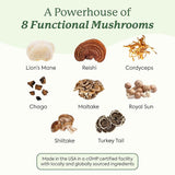 Plant People WonderDay Mushroom Gummies – Wild Raspberry