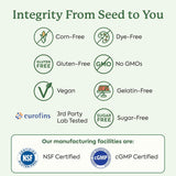 Plant People WonderDay Mushroom Gummies – Wild Raspberry