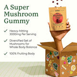 Plant People WonderDay Mushroom Gummies – Wild Raspberry