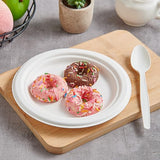 Compostable Sugarcane Bagasse Dessert Plates