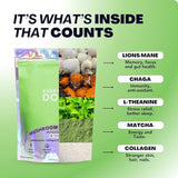 Everyday Dose Mushroom Matcha