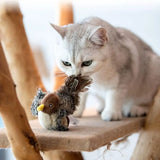 Bird Toy for Cats