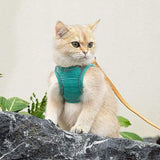 Cat Harness Leash