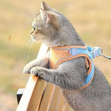 Cat Harness Leash