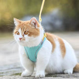 Cat Harness Leash