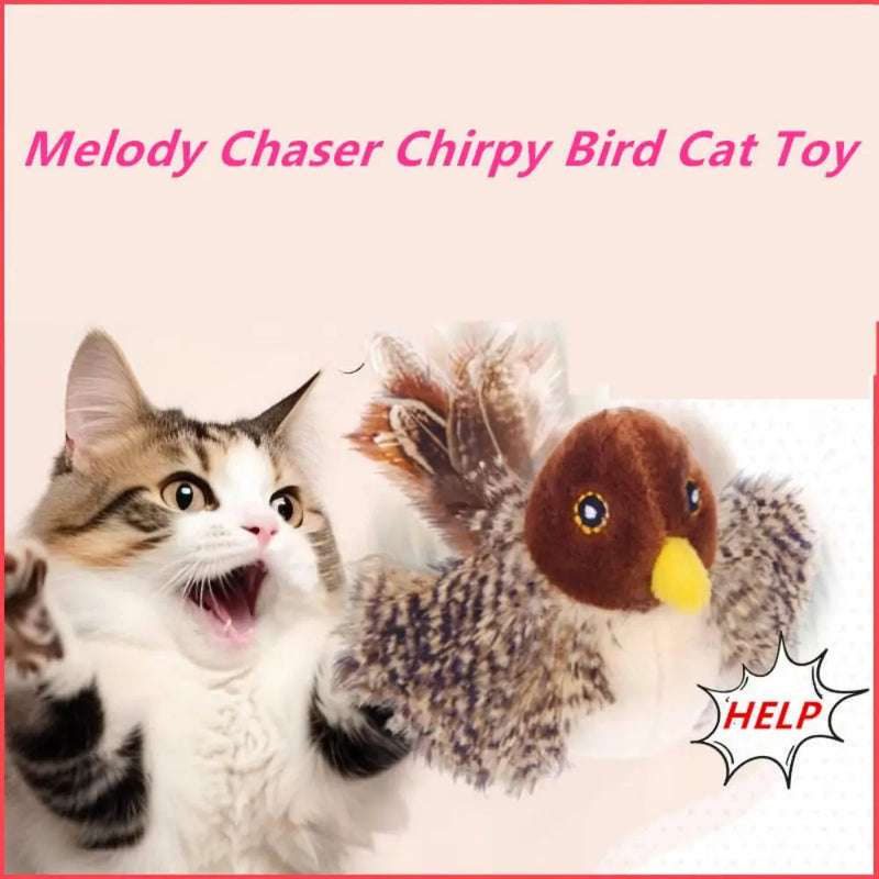 Bird Toy for Cats