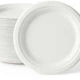 Compostable Sugarcane Bagasse Dessert Plates