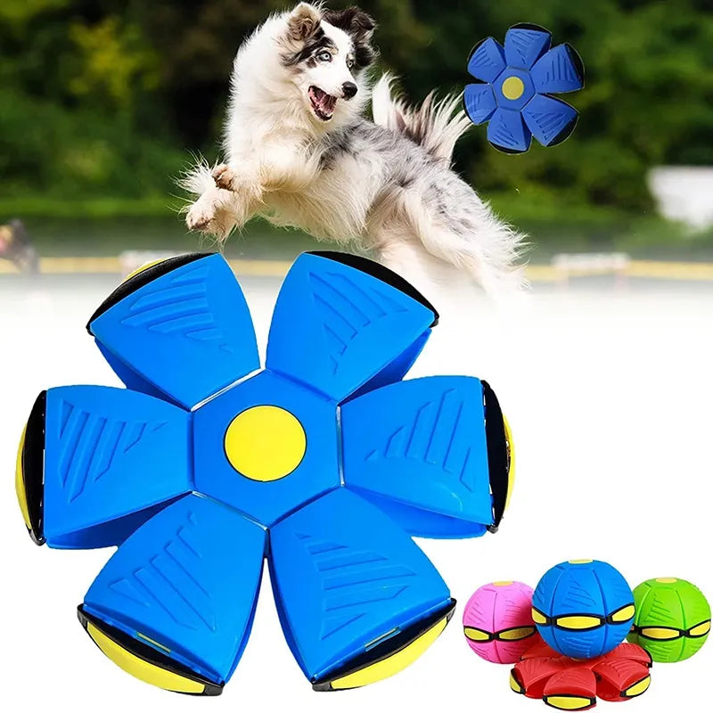 The Doggy disk ball