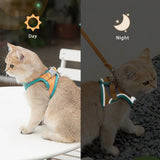 Cat Harness Leash