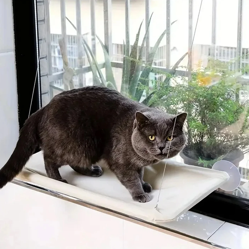 Cat Window Hammock Bed – Suction Cup Hanging Seat for Sunny Window Lounging