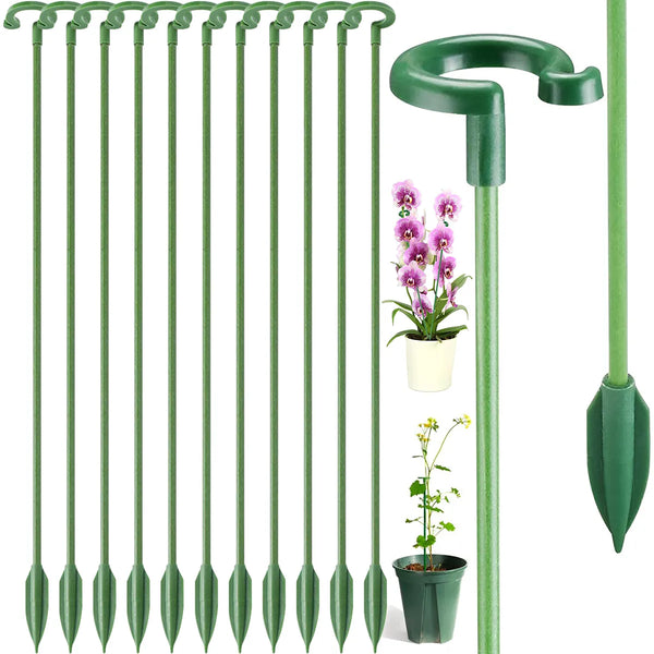 Plant Supports Stakes